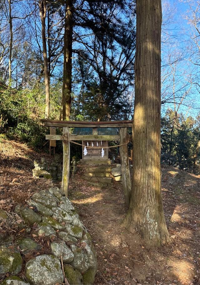 笹八木社（子檀嶺神社境内社）の参拝記録5