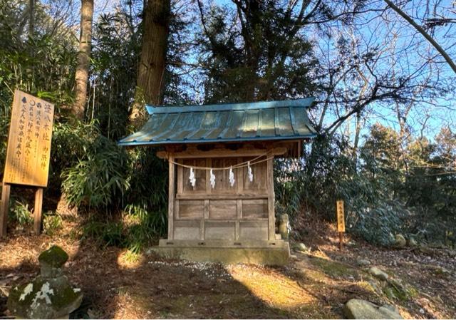 笹八木社（子檀嶺神社境内社）の参拝記録4