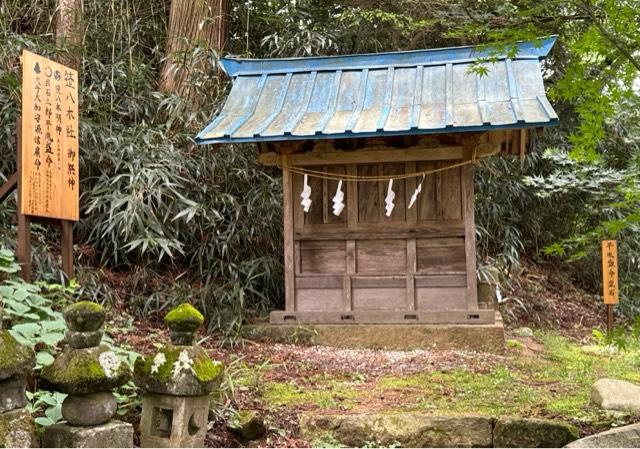 笹八木社（子檀嶺神社境内社）の参拝記録2
