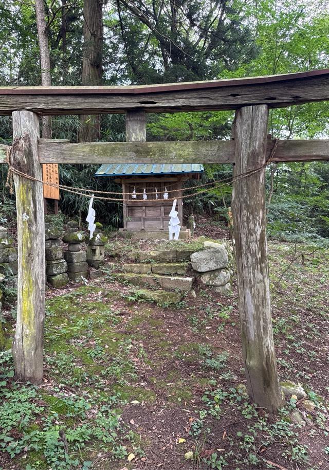 笹八木社（子檀嶺神社境内社）の参拝記録3