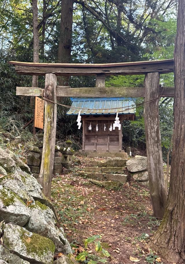 笹八木社（子檀嶺神社境内社）の参拝記録2
