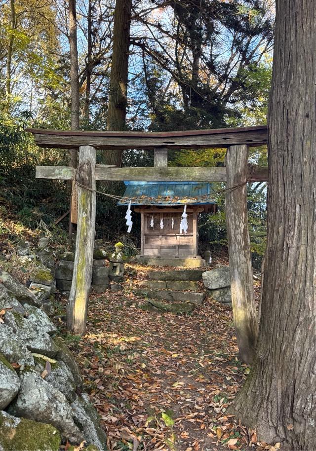 笹八木社（子檀嶺神社境内社）の参拝記録2