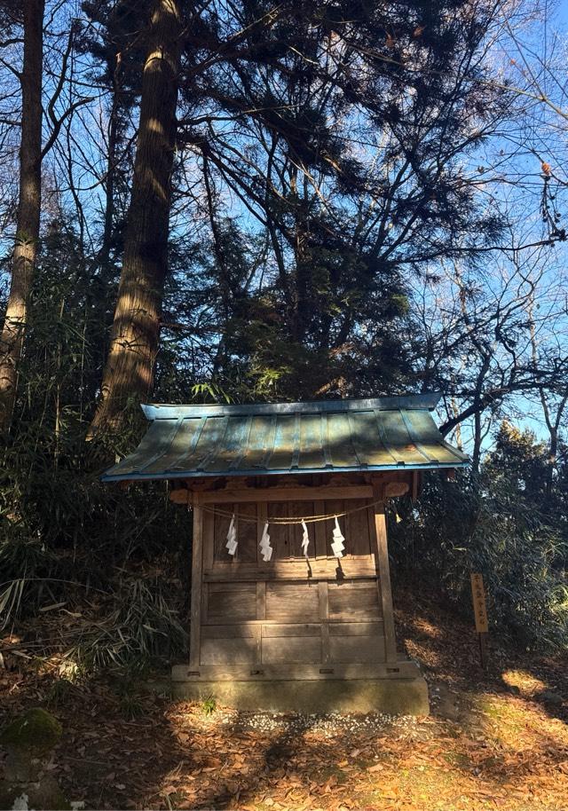 笹八木社（子檀嶺神社境内社）の参拝記録2
