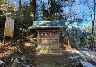 笹八木社（子檀嶺神社境内社）の参拝記録(竜胆の花さん)