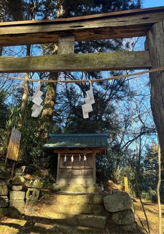 笹八木社（子檀嶺神社境内社）の参拝記録(竜胆の花さん)