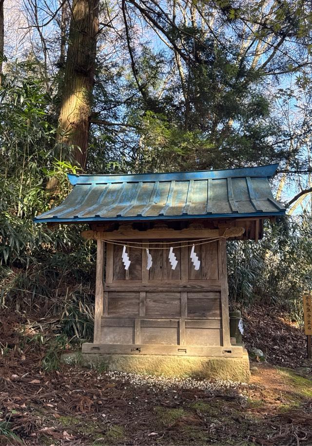 笹八木社（子檀嶺神社境内社）の参拝記録2