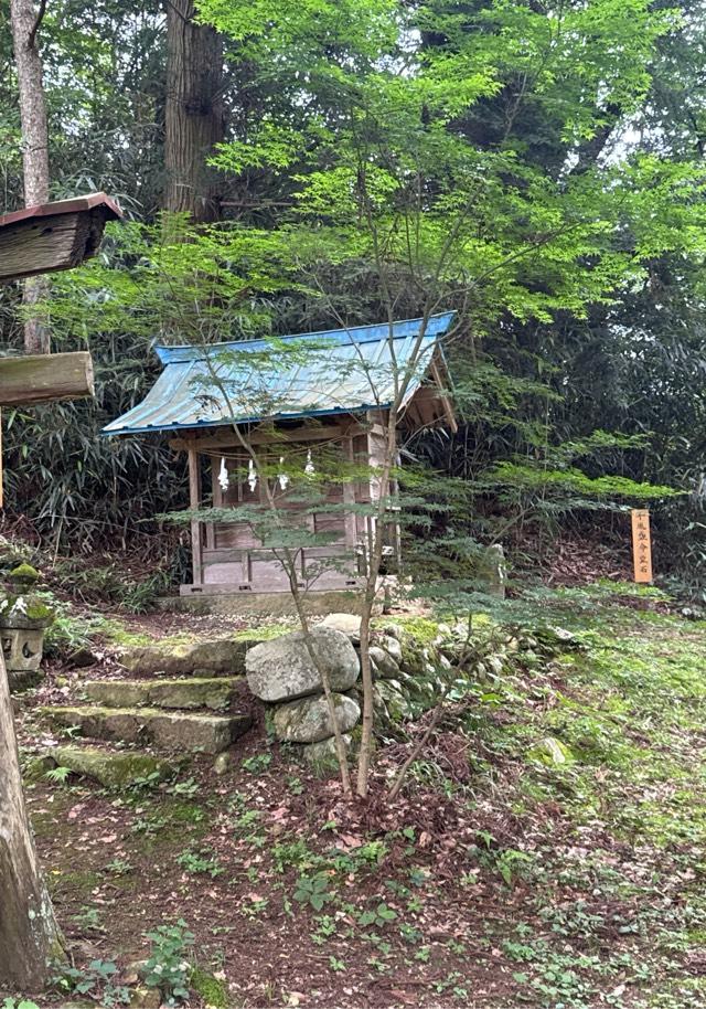 笹八木社（子檀嶺神社境内社）の参拝記録2