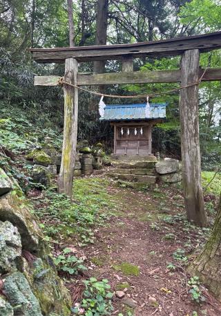 笹八木社（子檀嶺神社境内社）の参拝記録(竜胆の花さん)