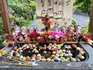 位作山 陽林寺の参拝記録(さとみさん)