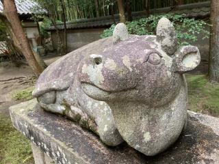 水鏡天神社の参拝記録(すったもんださん)