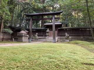 水鏡天神社の参拝記録(すったもんださん)