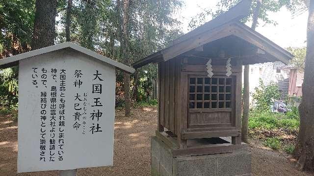 大国玉神社(東八幡神社)の参拝記録8