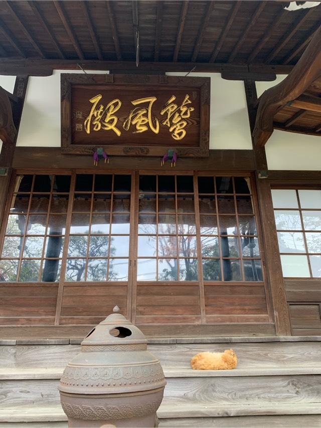 正栄山 妙行寺の写真1
