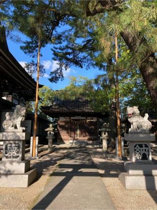 社口社（和泉八劍神社境内社）の参拝記録(恭子さん)