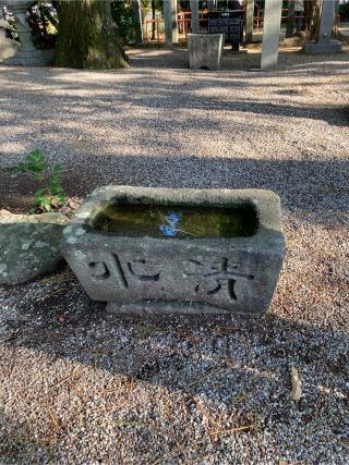 社口社（和泉八劍神社境内社）の参拝記録(恭子さん)