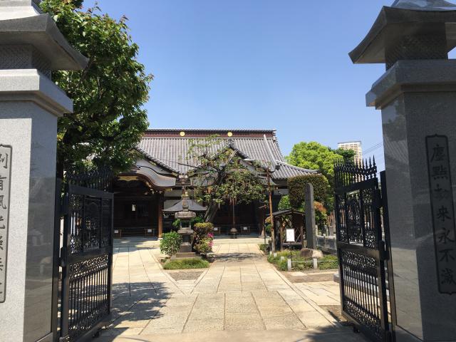 東京都台東区谷中3-1-2 大圓寺の写真1