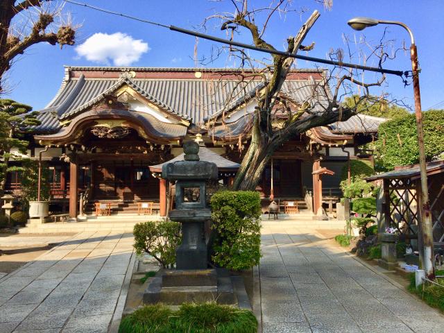 東京都台東区谷中3-1-2 大圓寺の写真2