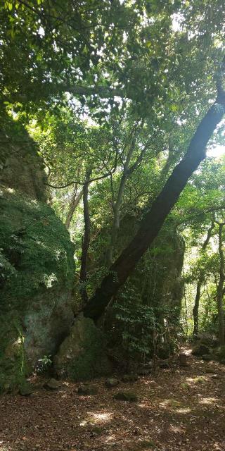 立石神社の参拝記録(はにほへとさん)