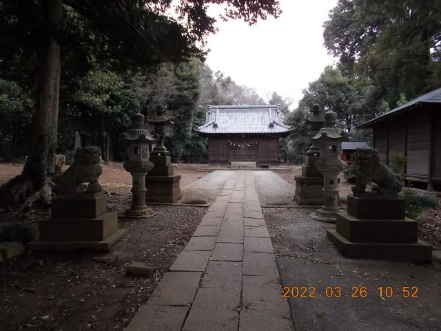 埼玉県さいたま市見沼区片柳771 熊野神社の写真3