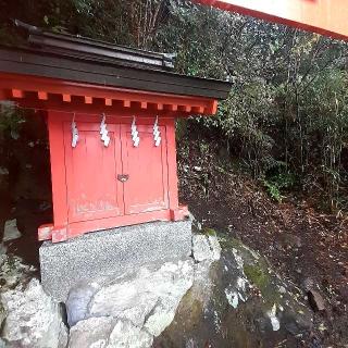 来宮神社の参拝記録(三毛猫さん)
