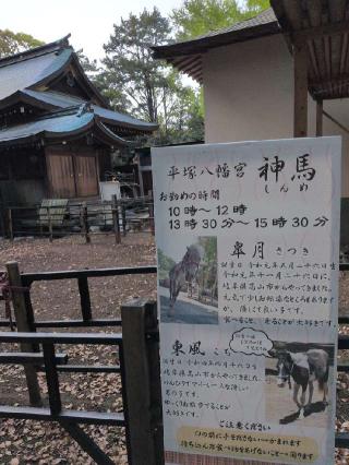 浅間社（平塚八幡宮境内社）の参拝記録(SFUKUさん)