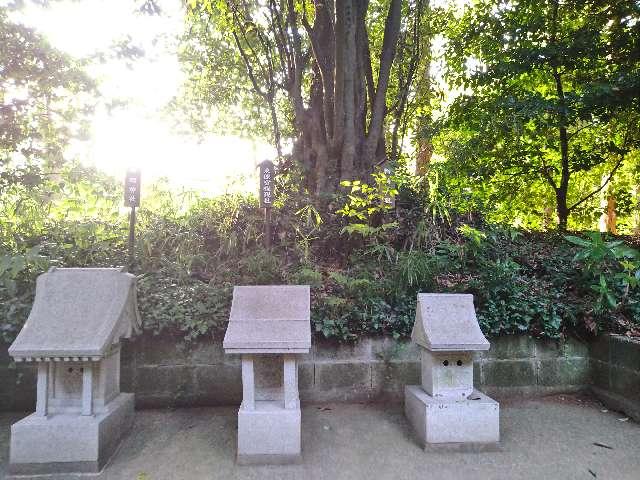 神奈川県伊勢原市三ノ宮 稲荷神社(比々多神社)の写真1