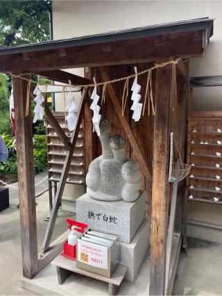 蛇窪龍神社(蛇窪神社境内社)の参拝記録(⛩️🐍🐢まめ🐢🐍⛩️さん)