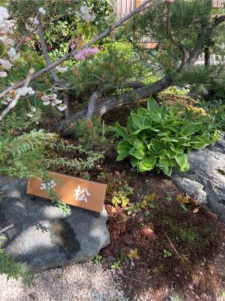 白蛇辨財天社（蛇窪神社境内社）の参拝記録(⛩️🐍🐢まめ🐢🐍⛩️さん)