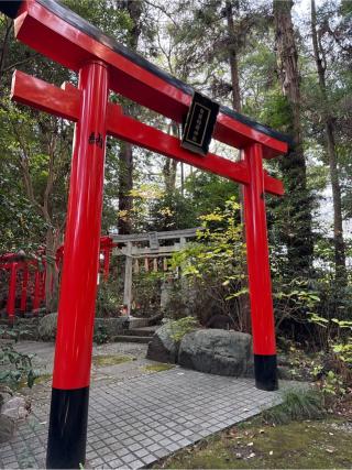 権兵衛稲荷(白笹稲荷神社)の参拝記録(⛩️🐍🐢まめ🐢🐍⛩️さん)