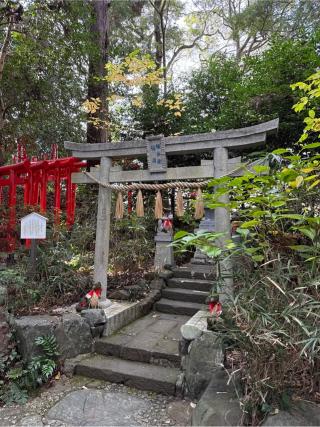 権兵衛稲荷(白笹稲荷神社)の参拝記録(⛩️🐍🐢まめ🐢🐍⛩️さん)