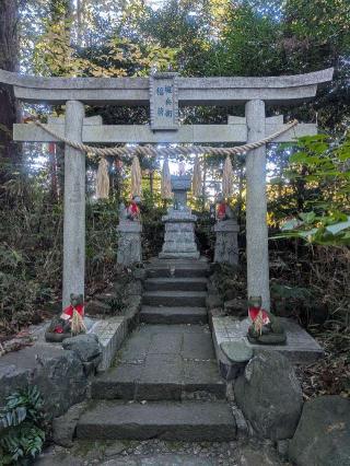 権兵衛稲荷(白笹稲荷神社)の参拝記録(はくすみさん)