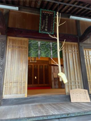 稲荷社(白笹稲荷神社)の参拝記録(チップさん)