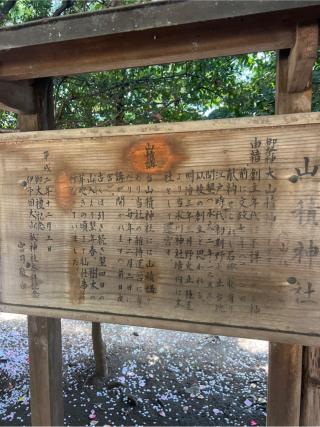 山積神社(野火止氷川神社)の参拝記録(⛩️🐍🐢まめ🐢🐍⛩️さん)
