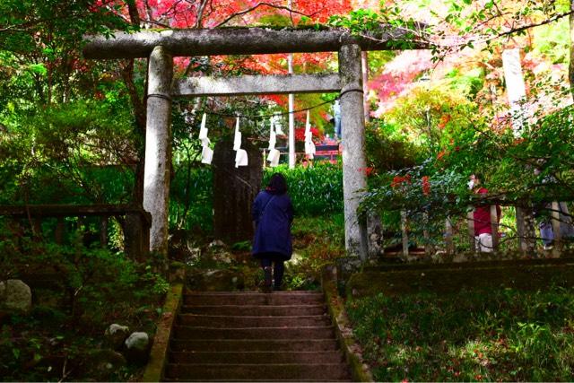 東郷神社の参拝記録(rinさん)