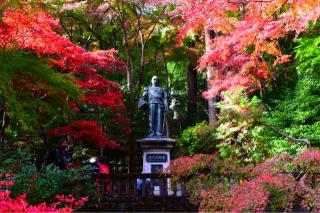 東郷神社の参拝記録(rinさん)