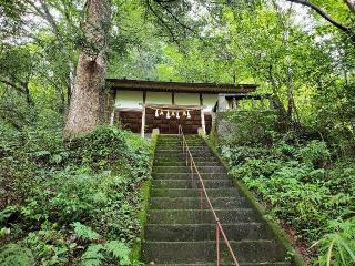 東郷神社の参拝記録(飛成さん)