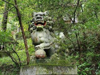 東郷神社の参拝記録(飛成さん)