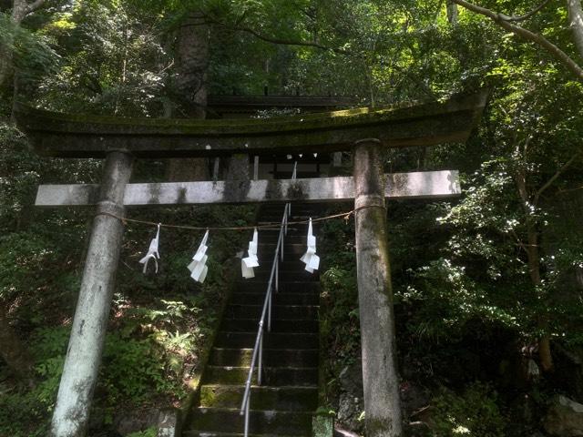 東郷神社の参拝記録(マバボーさん)