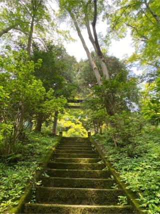 東郷神社の参拝記録(マバボーさん)