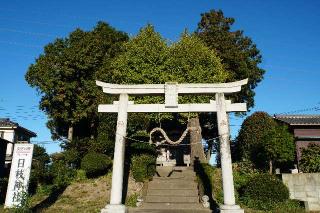 日枝神社(赤崎)の参拝記録(thonglor17さん)
