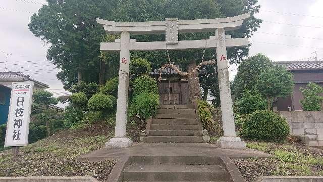 埼玉県春日部市赤崎１６７１ 日枝神社(赤崎)の写真2