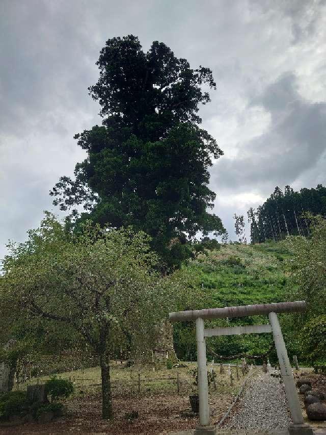 長野県下伊那郡根羽村 根羽諏訪神社の写真1