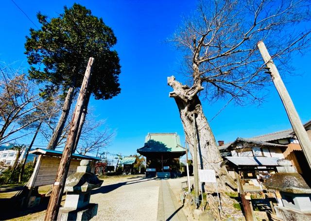 米島香取神社の参拝記録(shikigami_hさん)