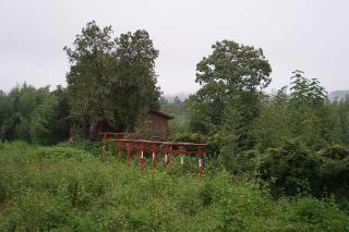 稲荷神社の参拝記録(thonglor17さん)