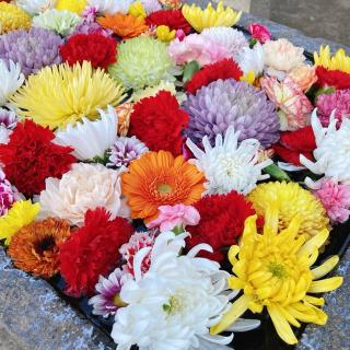 觀音寺(観音寺)の参拝記録(memoriesさん)