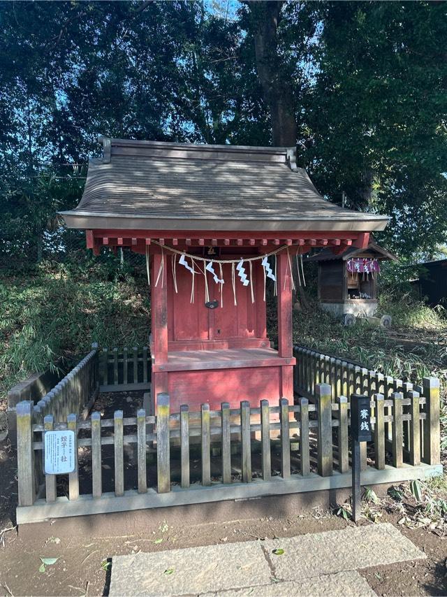 蛭子社(三芳野神社)の参拝記録10