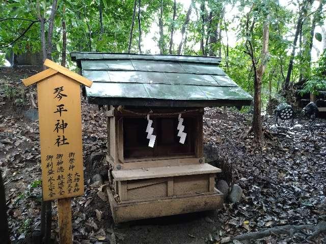 琴平神社(川越氷川神社)の参拝記録(yukiさん)