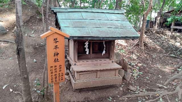 琴平神社(川越氷川神社)の参拝記録(miyumikoさん)