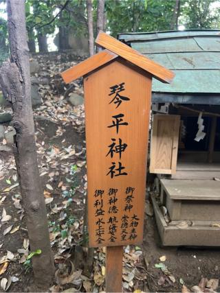 琴平神社(川越氷川神社境内社)の参拝記録(⛩️🐍🐢まめ🐢🐍⛩️さん)