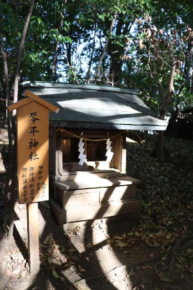 琴平神社(川越氷川神社)の参拝記録(やまちーさん)